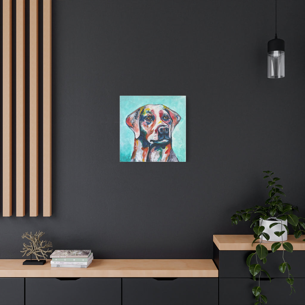Harry Canvas Print