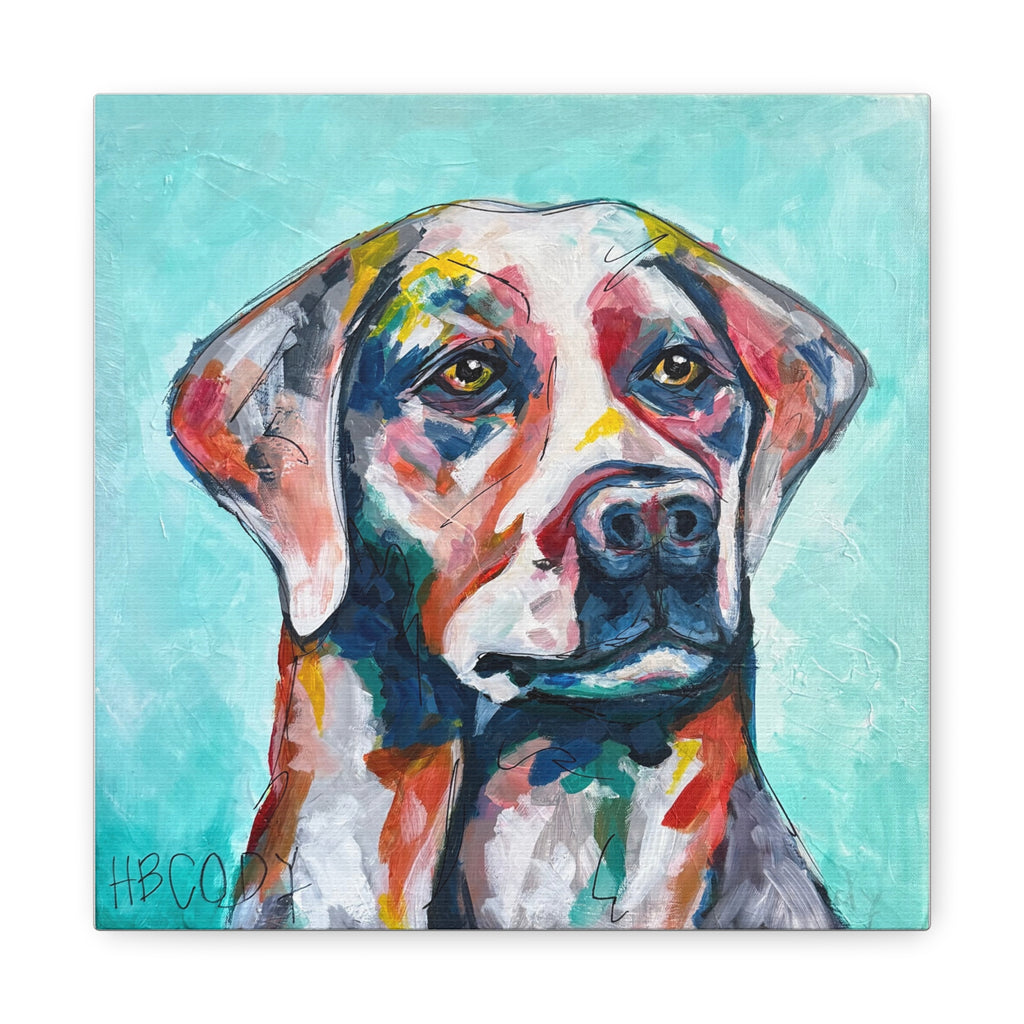 Harry Canvas Print